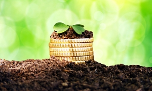 Poduzetnički impuls 2013